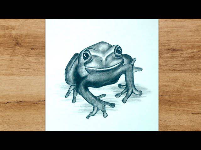 Frog Colour Drawing