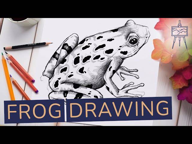 Frog Drawing Easy Step By Step