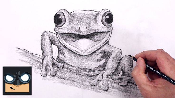 Frog Drawing Simple Cute