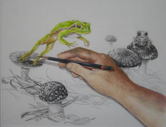 Frog Eating Insect Drawing