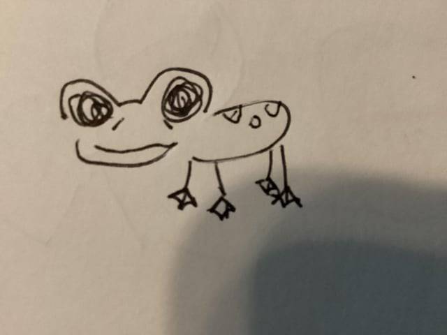 Frog Fairy Drawing