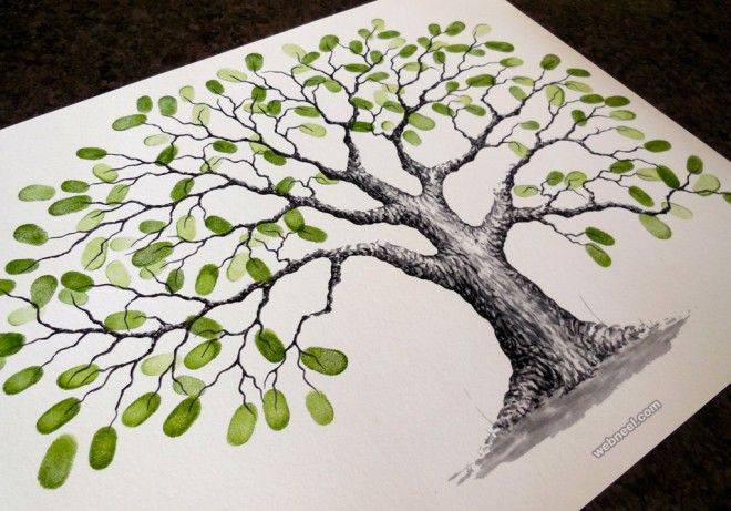 Pecan Tree Drawing