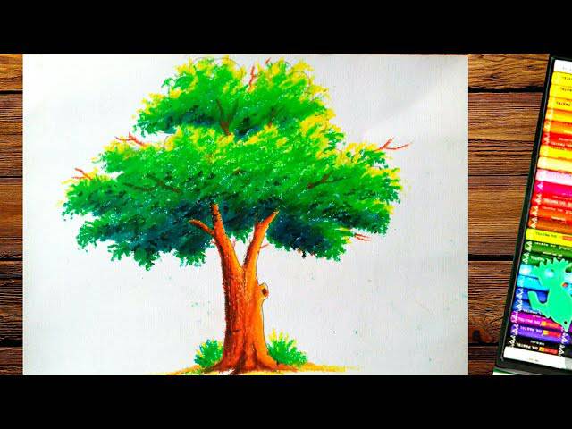 Pencil Sketch Of A Tree