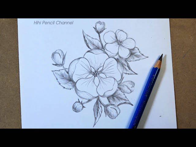 Peony Drawing