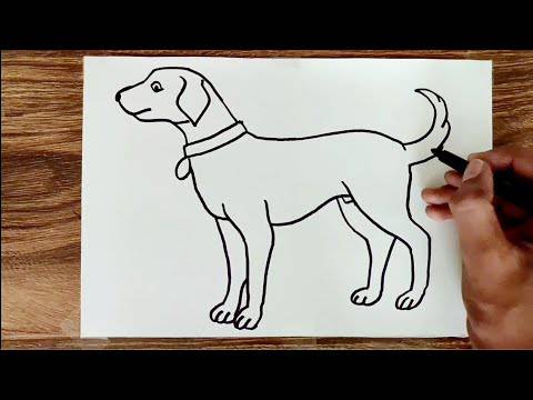 Picasso Dog Drawing