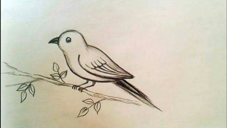 Simple Bird Drawing