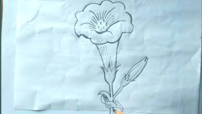 Simple Flower Drawings