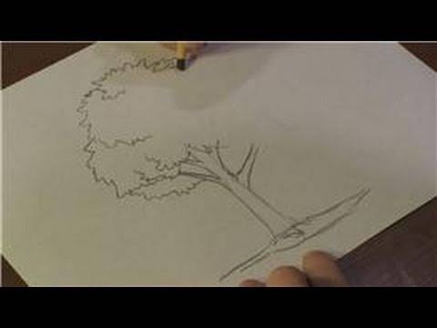 Tree Drawing With Branches