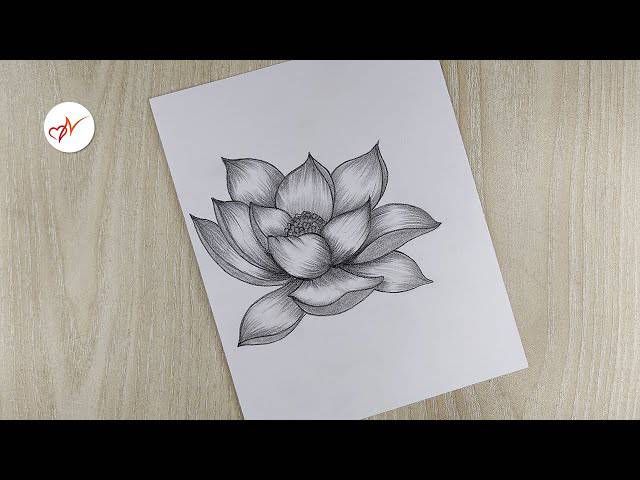 Wildflower Drawing