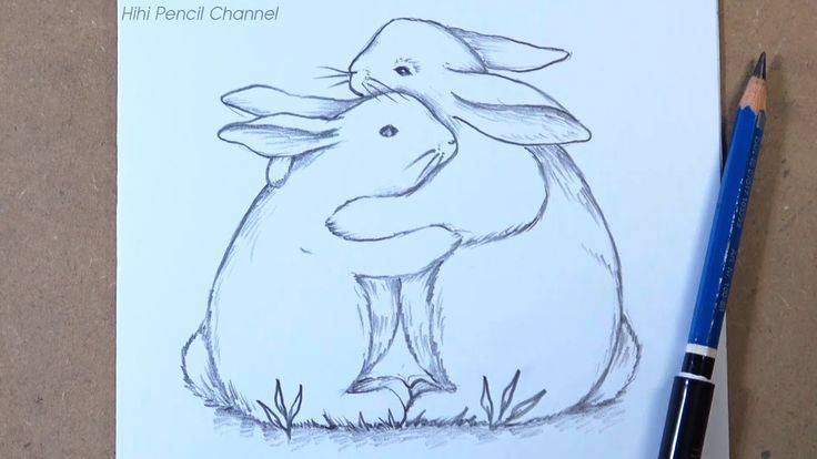 A Drawing Of Rabbit