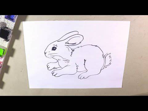 Alice In Wonderland Rabbit Drawing