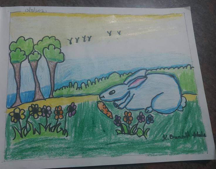 Big Rabbit Drawing