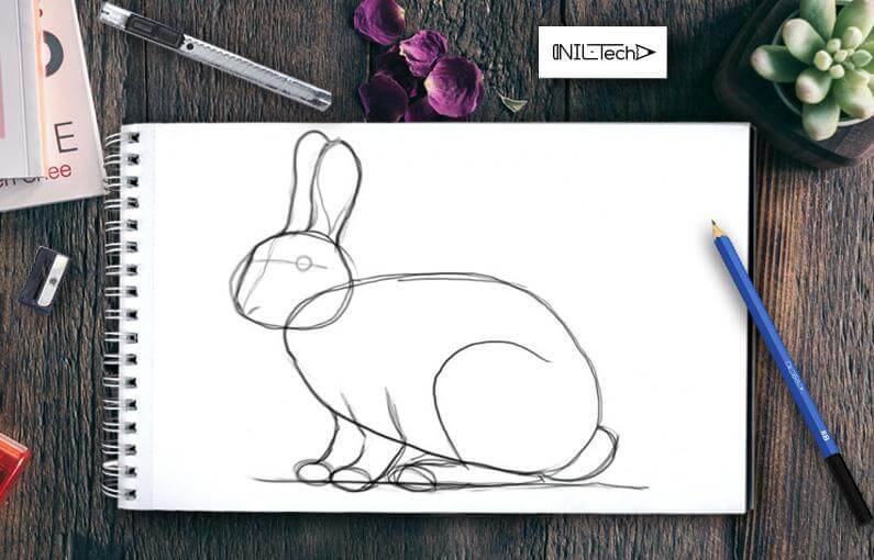 Bunny Cartoon Drawing Easy