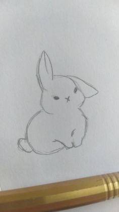 Bunny Eating Carrot Drawing