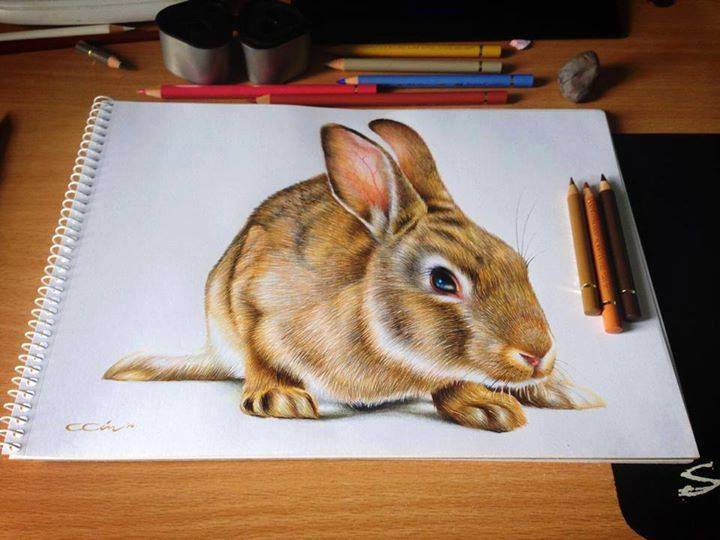 Bunny Head Easy Drawing