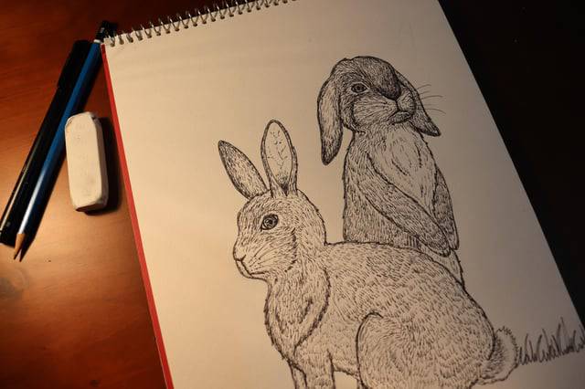 Bunny Mask Drawing