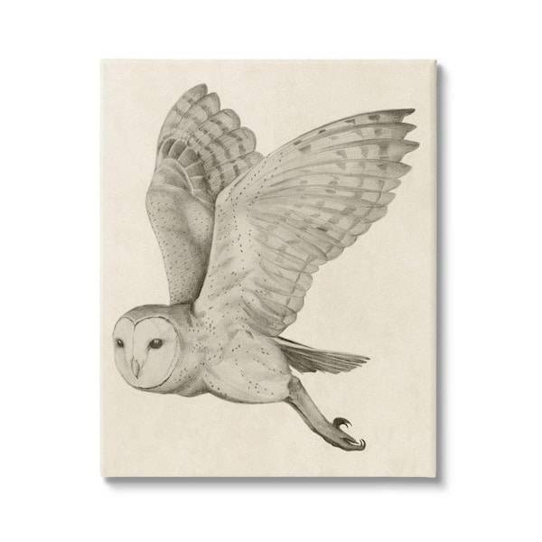 Cool Drawings Of Owls