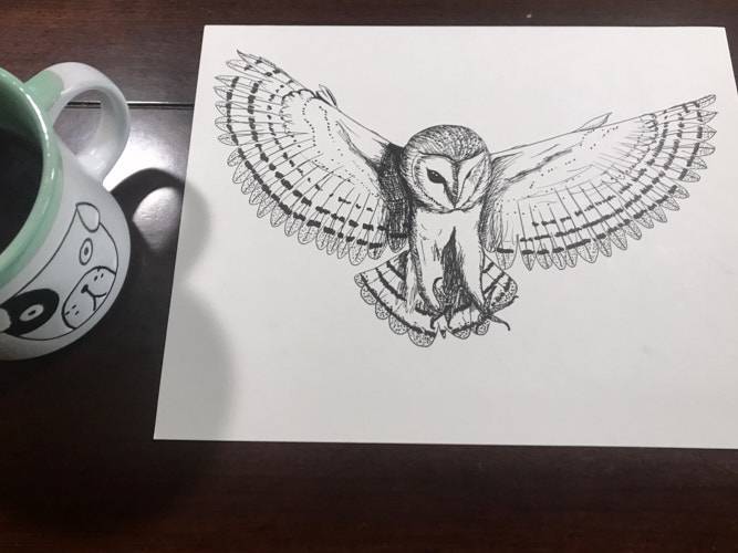 Cute Owl Line Drawing