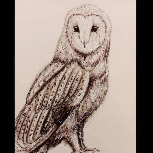 Cute Simple Owl Drawing