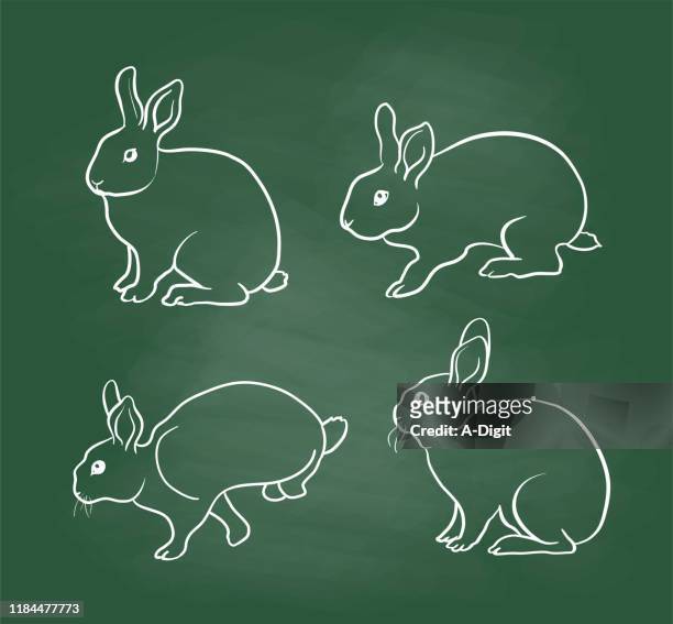 Draw A Rabbit Step By Step