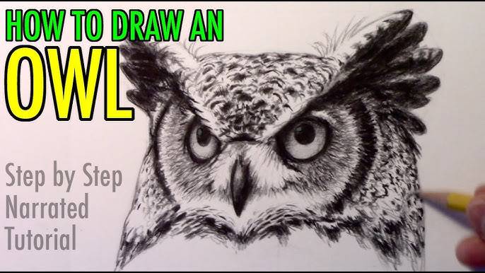 Draw An Owl Easy