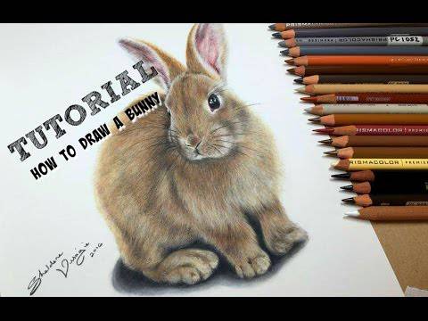 Drawing Of A Cartoon Bunny