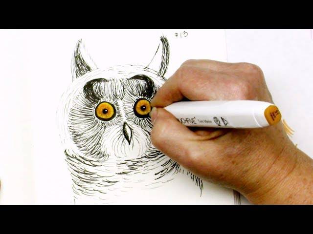 Easy Simple Cute Owl Drawing