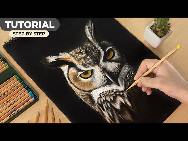 Harry Potter Owl Sketch