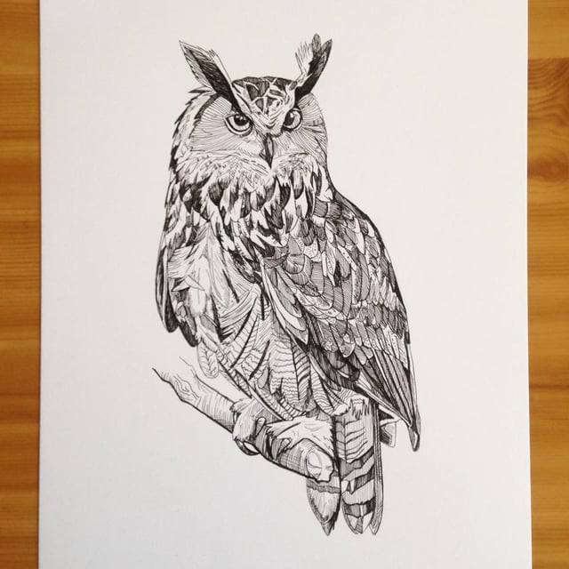 Owl Colouring Drawing