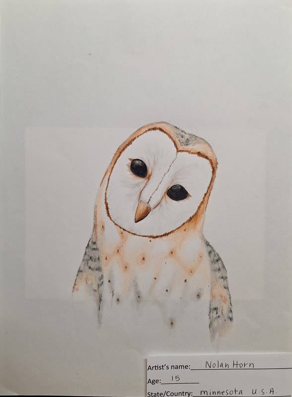 Owl Eyes Drawing Easy