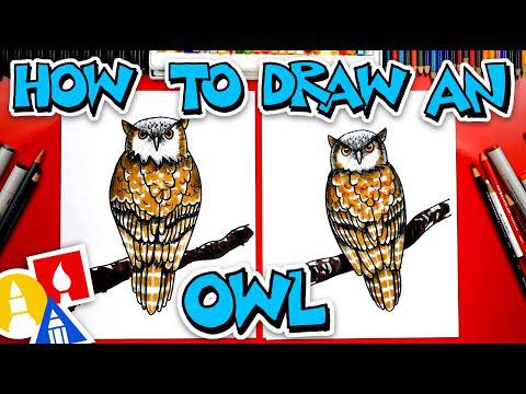 Pictures Of Drawings Of Owls