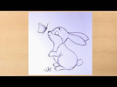 Sketch Bunny Drawing